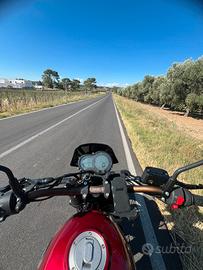 Benelli Leoncino 500 trail