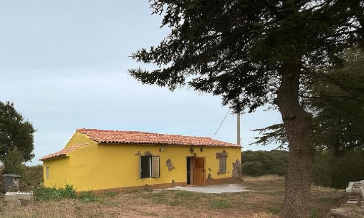 Stazzo subito abitabile con terreno