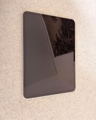 iPad Pro 11" (M4) 256gb - Wi-Fi + Cellular