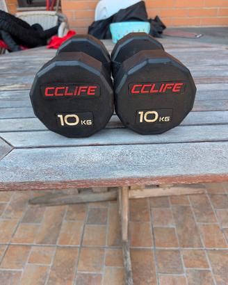 COPPIA DI MANUBRI  10 KG