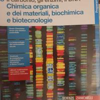 Il carbonio, gli enzimi, il DNA