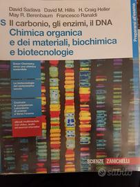 Il carbonio, gli enzimi, il DNA