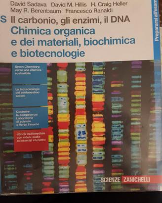 Il carbonio, gli enzimi, il DNA
