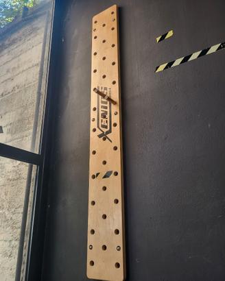 Pegboard crossfit fitness calistenia