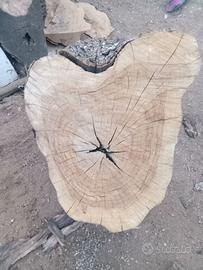 Fette di tronco di ulivo 4diametro minimo 35cm