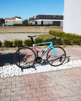 Specialized allez 