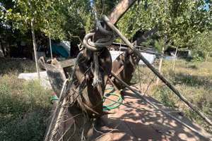 Aratro due vomeri