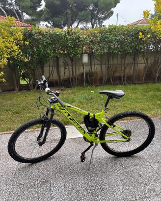 Bici BMX verde