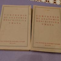 ANTICO LIBRO " COMPENDIO DI ANATOMIA UMANA " 