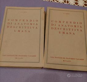 ANTICO LIBRO " COMPENDIO DI ANATOMIA UMANA " 