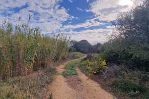 Immobile in asta di 4162 m² a Olbia
