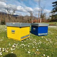 Arnie per apicoltura