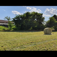 Balloni di fieno balle tonde fieno 2025