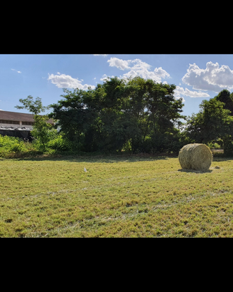 Balloni di fieno balle tonde fieno 2025