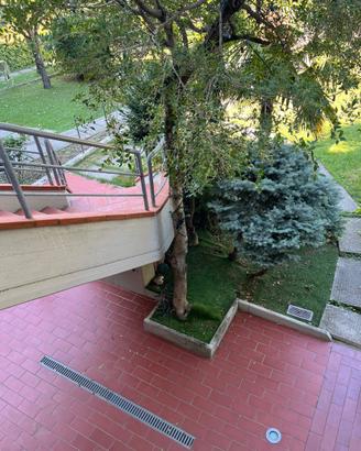 Ampio appartamento con 3 camere, giardino privato