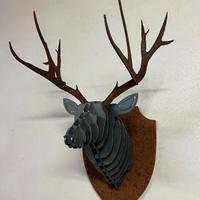 Trofei da Parete in Ferro–Design Industriale Unico