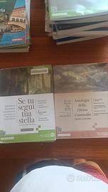 Se tu segui tua stella letteratura italiana 