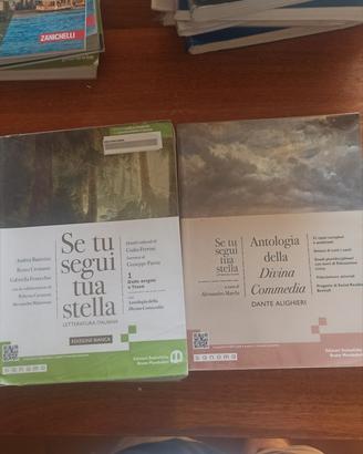 Se tu segui tua stella letteratura italiana 