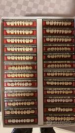 Ivoclar denti