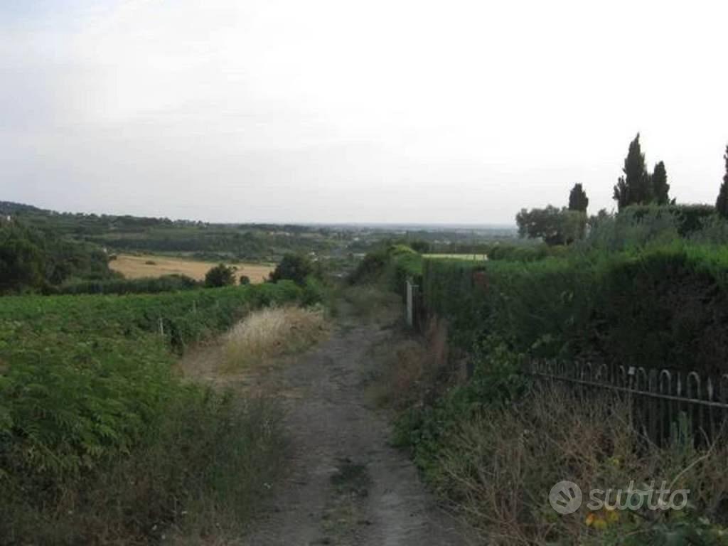 Immobile in asta di 151463 m² a Grottaferrata - Altro