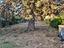 Immagine 29