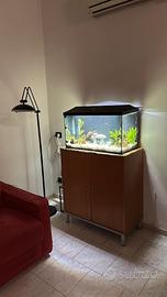 Acquario