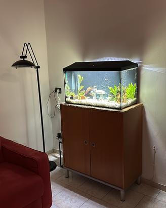 Acquario