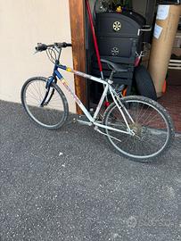 Bici MTB