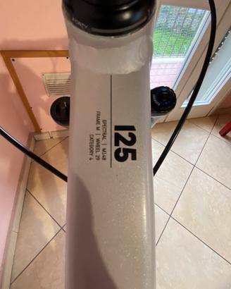 Canyon spectral Al 125 2023