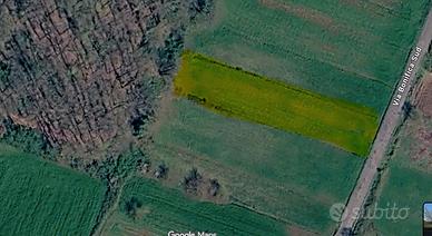 Terreno pianeggiante Ferentino mq 2200