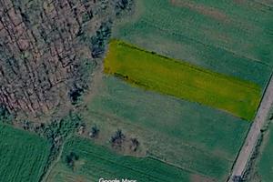 Terreno pianeggiante Ferentino mq 2200