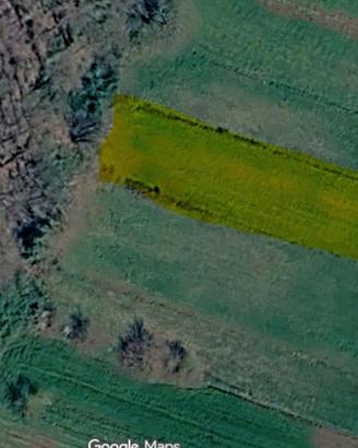 Terreno pianeggiante Ferentino mq 2200