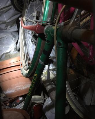 Bicicletta STELVIO