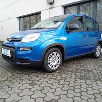 FIAT Panda 1.0 MILD HYBRID MANUALE PANDINA OK NE