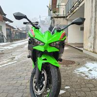 Kawasaki Ninja 500 SE