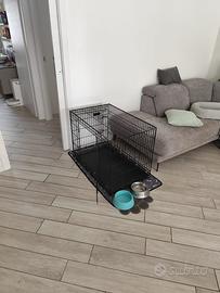 Kennel
