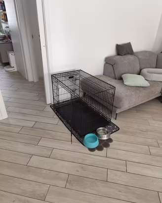 Kennel