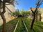 Immagine 19