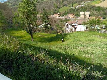 Terreno edificabile 251 mq + agricolo 2.300 mq