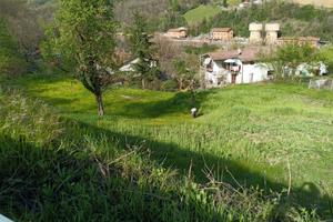 Terreno edificabile 251 mq + agricolo 2.300 mq
