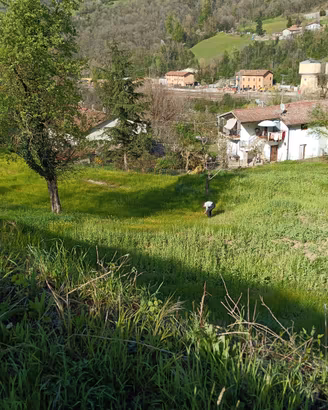 Terreno edificabile 251 mq + agricolo 2.300 mq