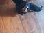 Immagine 4
