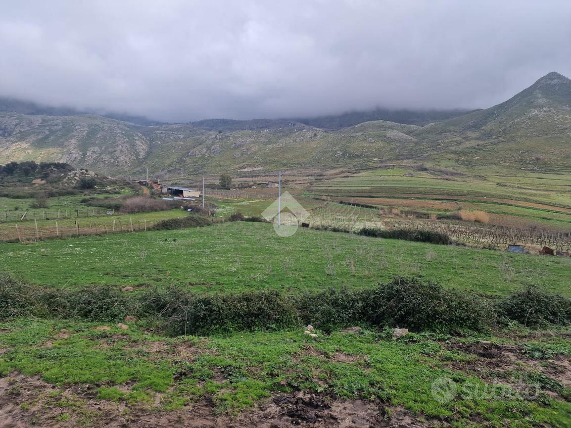 TER. AGRICOLO A BORGETTO - Vista 3