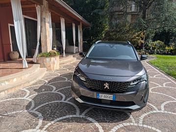 Peugeot 3008 1500BLUHDI 130EAT8 Business-Autocarro