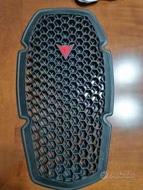 giubbino +guanti+paraschiena, tutto nuovo  Dainese