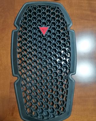 giubbino +guanti+paraschiena, tutto nuovo  Dainese