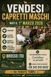 Vendita capretti
