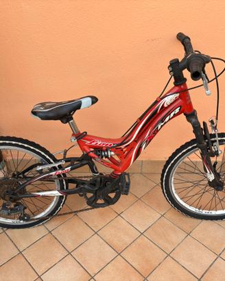Bicicletta