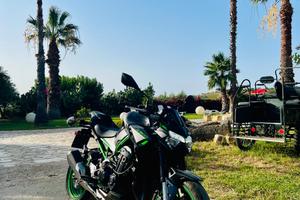 Kawasaki Z 900 - 2023