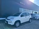 fiat-panda-1-0-firefly-s-s-hybrid-pandina
